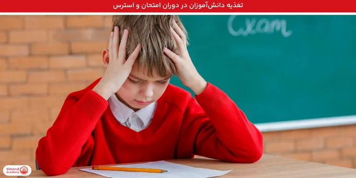 تغذیه دانش‌آموزان در دوران امتحان و استرس