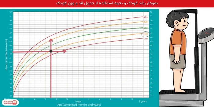 نمودار رشد کودک و نحوه استفاده از جدول قد و وزن کودک
